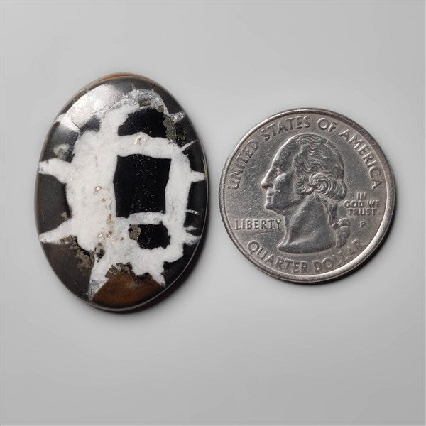 Black Septarian Fossil