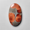 Peanut Wood Obsidian