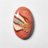 Polychrome Jasper