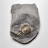 Ammonite|Pyrite