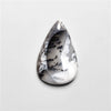 Dendritic Agate