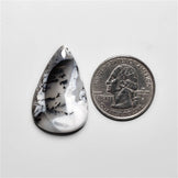 Dendritic Agate
