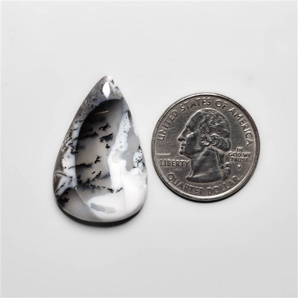 Dendritic Agate