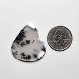 Dendritic Agate