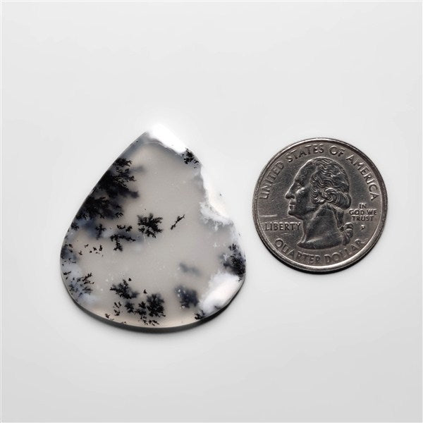 Dendritic Agate