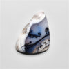 Dendritic Agate