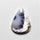 Dendritic Agate