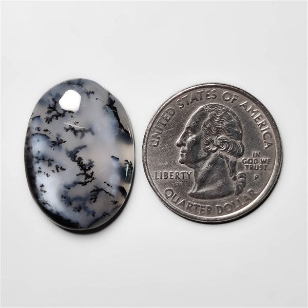 Dendritic Agate
