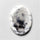 Dendritic Agate