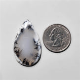 Dendritic Agate