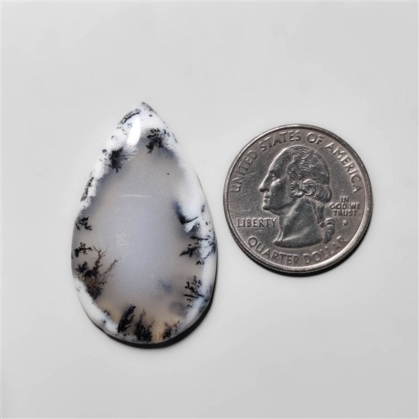 Dendritic Agate