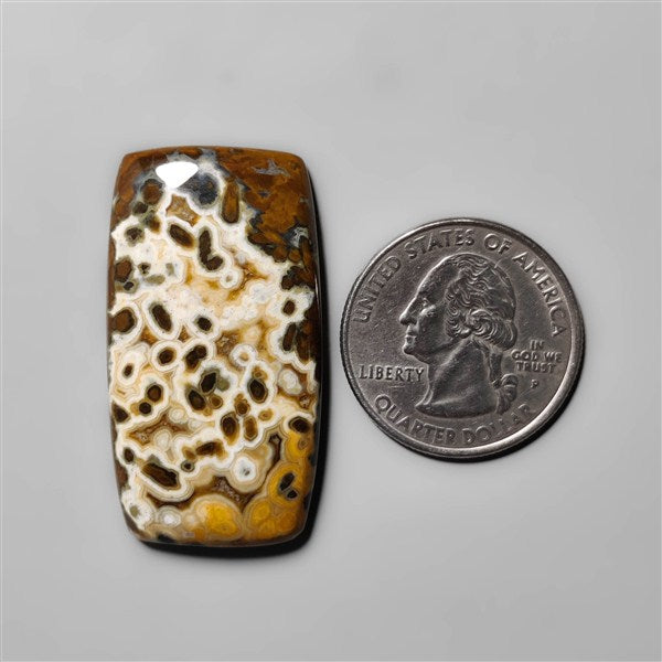 Ocean Jasper