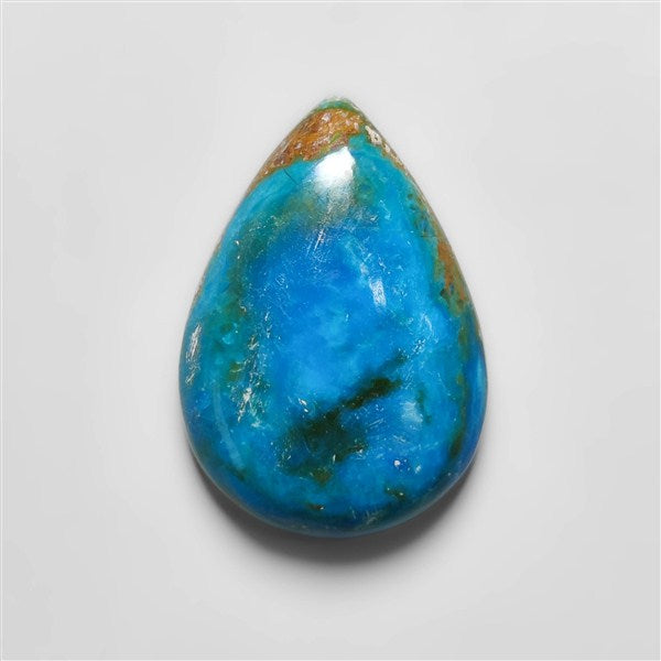 Opalina