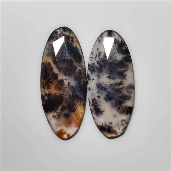 Dendritic Agate