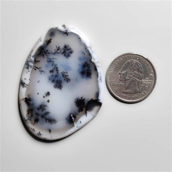 Dendritic Agate