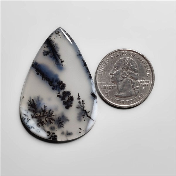 Dendritic Agate