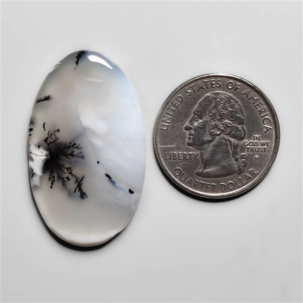 Dendritic Agate