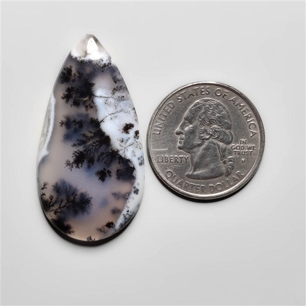 Dendritic Agate