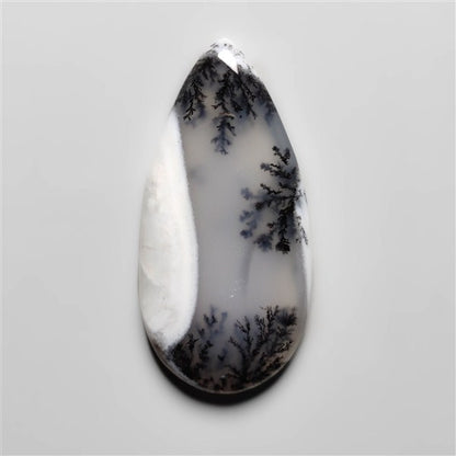 Dendritic Agate