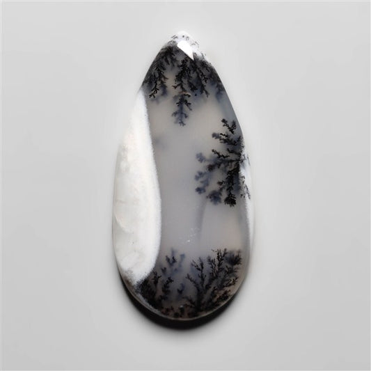 Dendritic Agate
