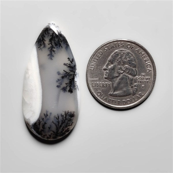 Dendritic Agate