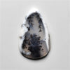 Dendritic Agate