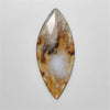 Plume Agate