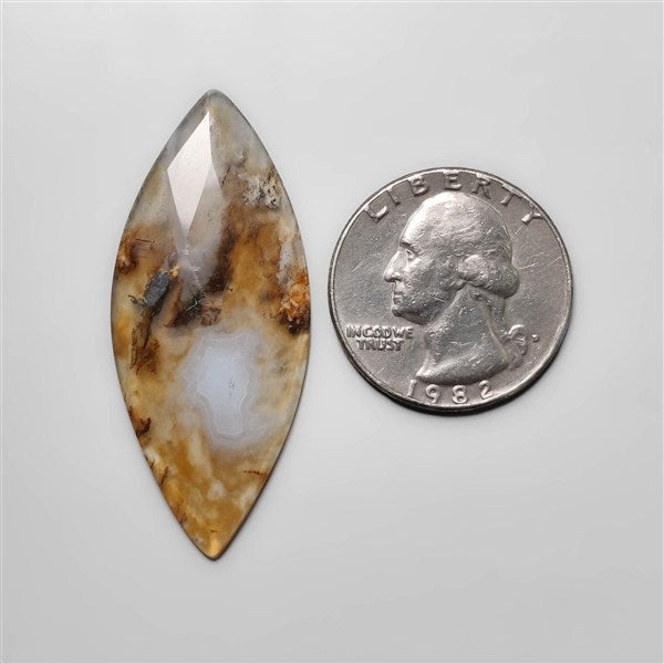 Plume Agate