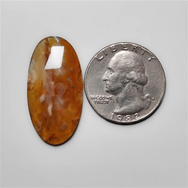 Plume Agate