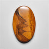 Tiger Eye