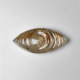 Rutilated Quartz