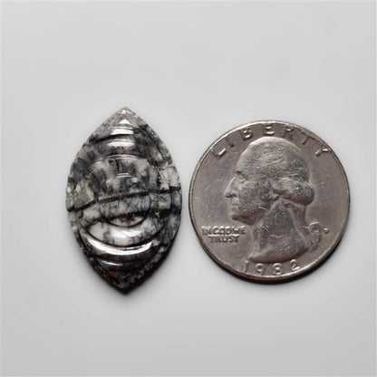 Orthoceras Fossil