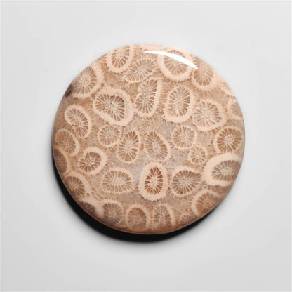 Fossil Coral