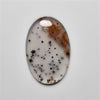 Dendritic Agate