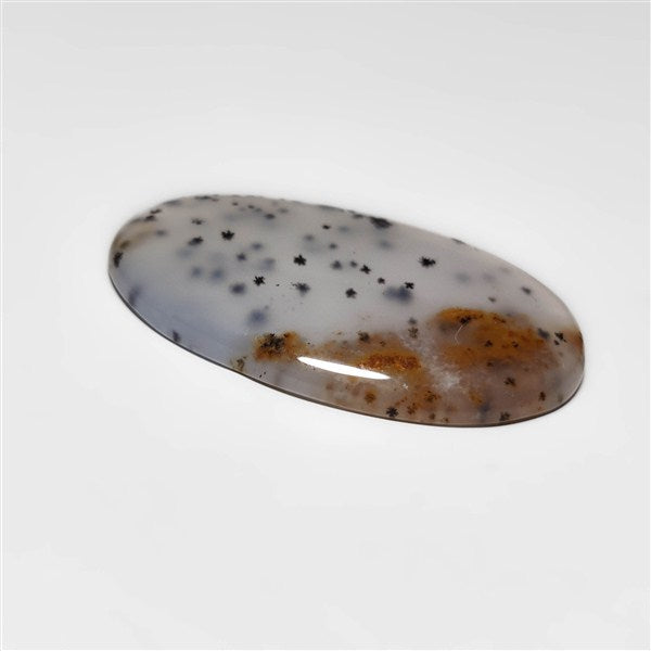 Dendritic Agate