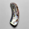 Abalone Shell