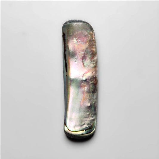 Abalone Shell