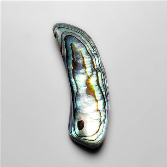 Abalone Shell