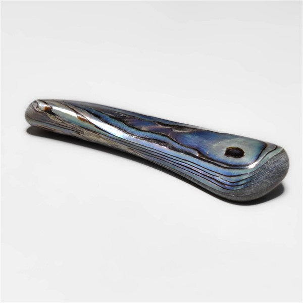 Abalone Shell