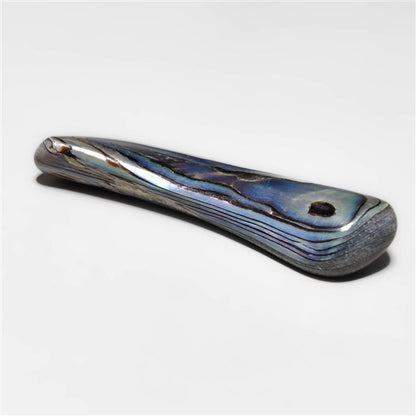 Abalone Shell