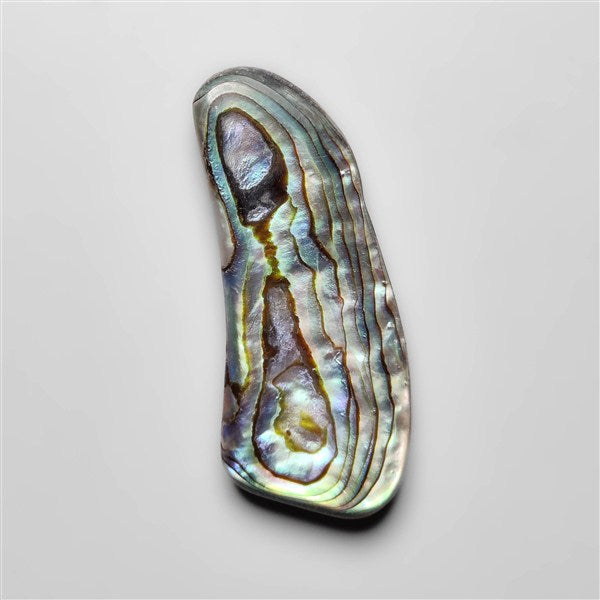 Abalone Shell