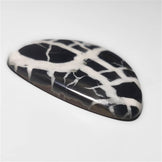 Septarian