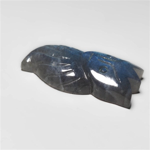 Labradorite