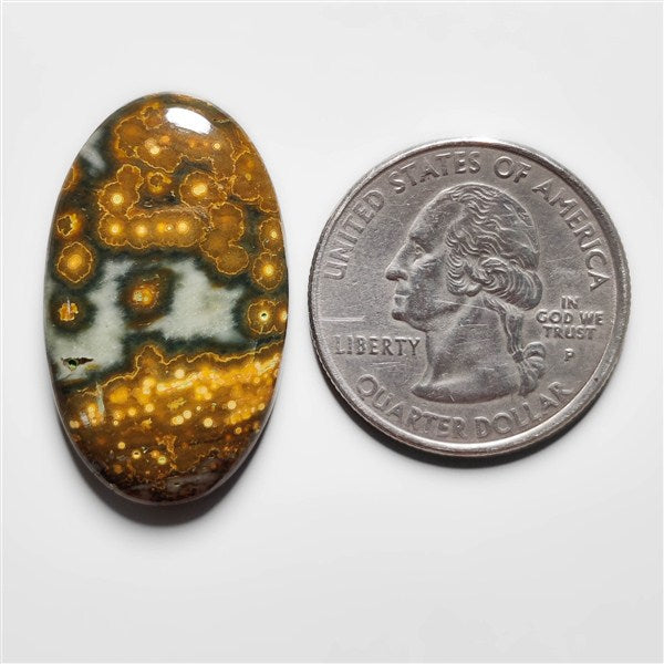 Ocean Jasper