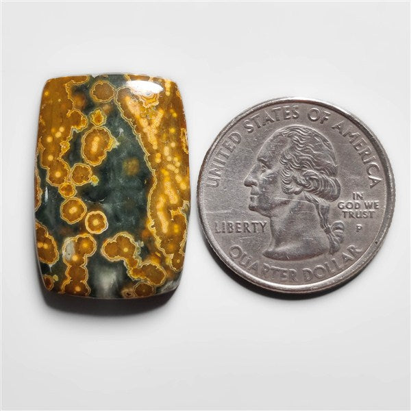 Ocean Jasper