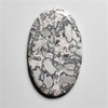 Pinolith
