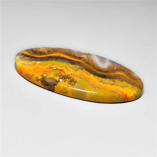 Bumble Bee Jasper