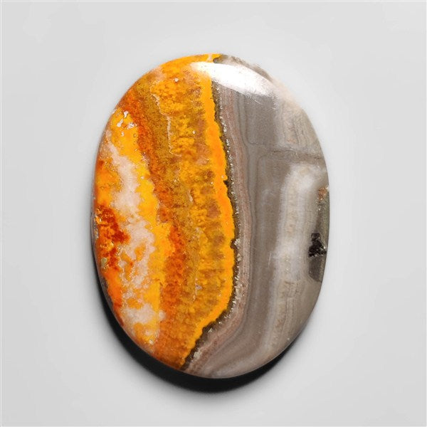 Bumble Bee Jasper