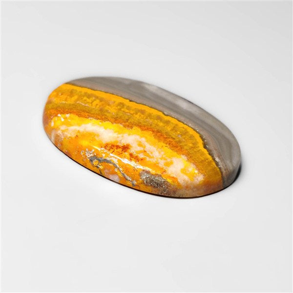 Bumble Bee Jasper