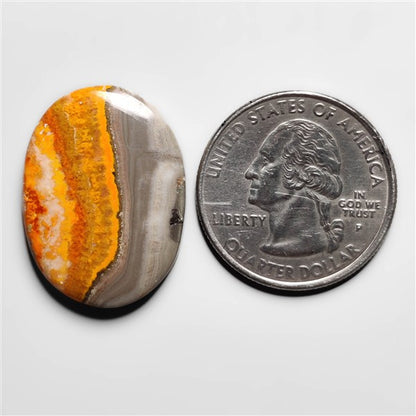 Bumble Bee Jasper